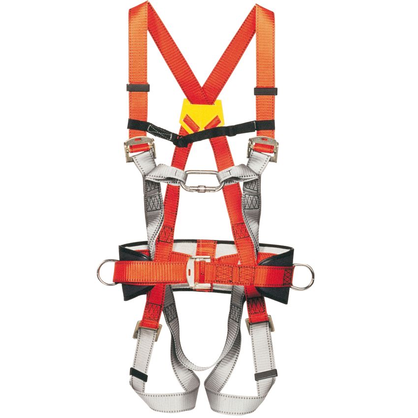 Harnais antichute standard 2 points avec ceinture