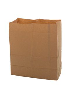 Sacs papier 100% biodégradables - 100 L