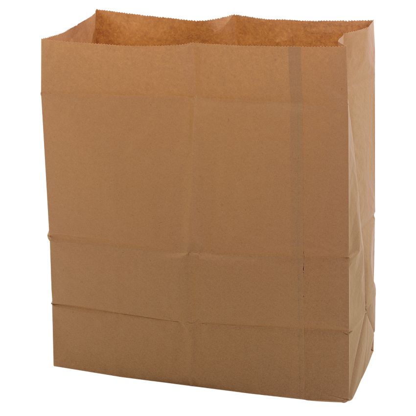 20 sacs poubelle papier biodégradables, 100 L
